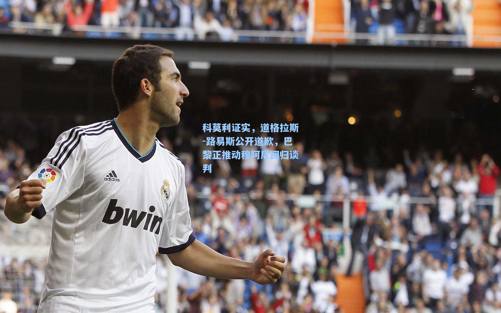 科莫利证实，道格拉斯-路易斯公开道歉，巴黎正推动穆阿尼回归谈判